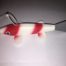 A red and white koi fish on a white surface.