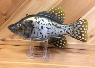A Wallace Decoy - White Crappie, WRWC plastic fish on a stand.