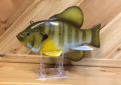 A yellow and black Blue Gill WRBG on a wooden stand.